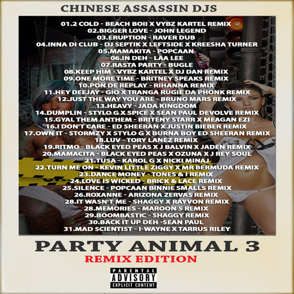 Party Animal 3 (RAW MIX)