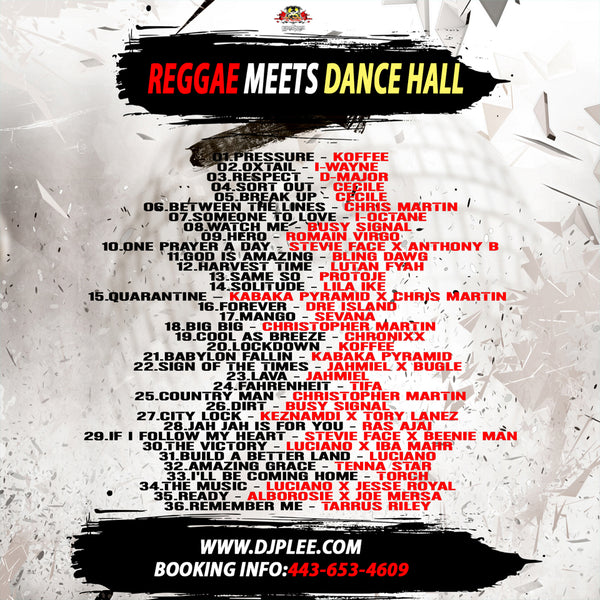 Reggae Meets Dance Hall (Must Have)